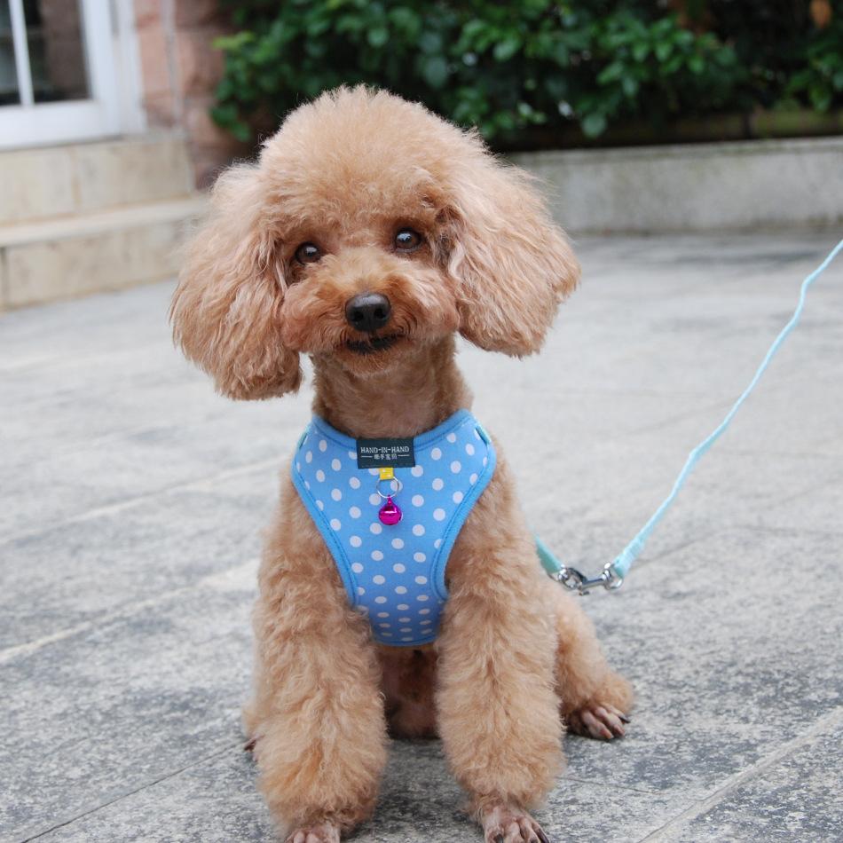 pet products harness vest mesh