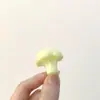 Grampo de Cabelo Divertido de Vegetais em Acrílico Alga Couve-flor Alho Pepino Milho Acessórios de Cabelo