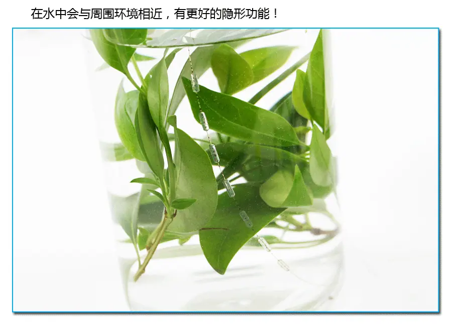 313散装斑点01_15.gif