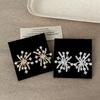 Aretes de Fuegos Artificiales de Perla de Zircón Super Brillantes para Mujer, Lujo Accesible, Gama Alta, Únicos, Exquisitos, Modernos y de Moda