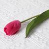 Flor artificial de tulipán con tacto hidratante, flor artificial de alta gama, flor de seda, adornos para decoración del hogar y hoteles, venta al por mayor
