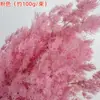 Venta al por mayor de Pino Inmortalizado, Pino Inmortalizado de Yunnan, Flores Secas de Pino Inmortalizado, Pino Cedro Inmortalizado Hortensia Venta al por Mayor Arreglos Florales DIY