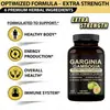 Comercio Exterior Transfronterizo Amazon Cápsula de Garcinia Cambogia Fábrica de Cápsulas de Garniagambogia Venta Directa