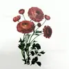 Podemos Hacer Impresiones de Muestra a Partir de Sus Fotos y Muestras. Diario de Viaje Colorido y Lindo con Pegatinas Rasca-Raspa de Animales y Flores, Lleno de Diversión
