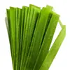 Fideos largos de col rizada, fideos secos tradicionales, fideos fríos de alto gluten sin cocción, fideos verdes instantáneos no fritos