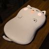 Almofada de Espuma de Memória com Proteção para Coluna Cervical em Formato de Gato para Crianças, Estudantes de Dormitório e Fronhas de Desenho Animado