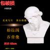 Plato estatua de yeso materiales didácticos molde boceto decoración arte examen retrato de cabeza estatua de busto suministros de geometría yeso