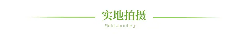 实地拍摄
