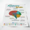 Pintura Sem Moldura de Órgãos Corporais da Amazon para Sala de Estar, Estudo, Academia, Impressão em Tela, Pintura Decorativa, Arte de Parede Pintada com Spray