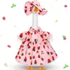 Artículo Más Vendido de Amazon: Ropa de Ganso para Porche de 23 pulgadas, Traje de Baño de Verano, Impermeable, Ropa de Estilo Pastoral, Ropa Decorativa de Ganso Blanco Grande