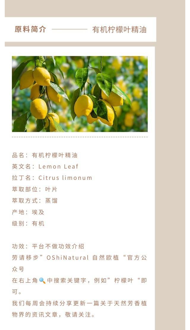 埃及柠檬叶精油.jpg