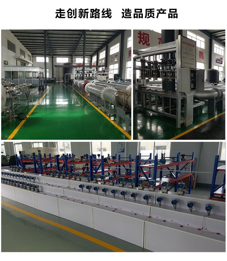 旋进旋涡流量计_24.jpg