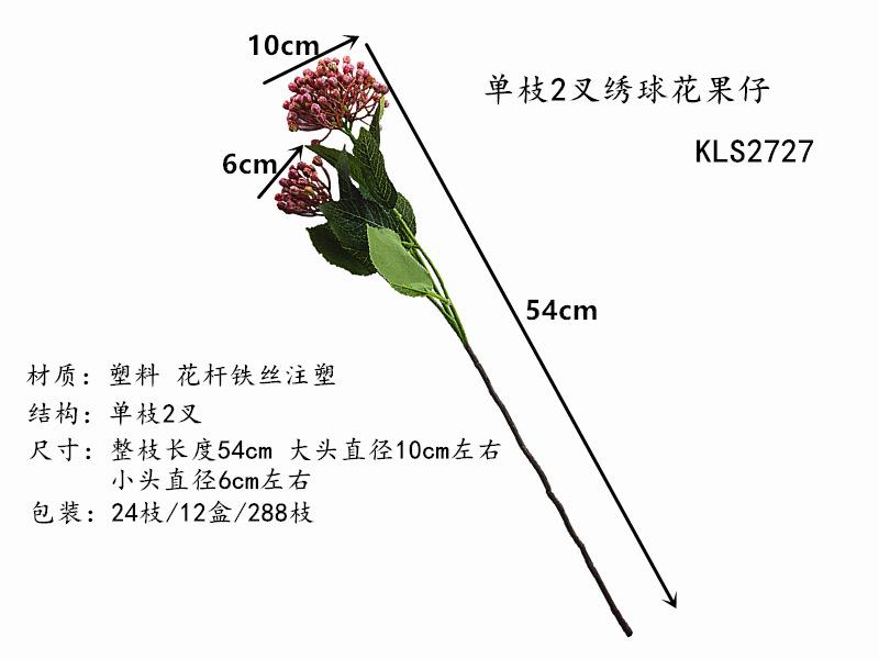 DSC04061.png