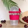 Copo de Iogurte, Copo de Smoothie, Copo de Lanche Conveniente de Camada Dupla Estilo Europeu, Copo de Nozes, Copo de Milkshake, Impressão de Copo de Cereal