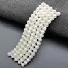 Nuevo Estilo Pasador de Perlas Accesorio para el Cabello para Mujeres, Exquisita Pinza para el Cabello para Flequillo Lateral, Elegante Pasador para Flequillo