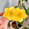 Horquilla de Flor Doble Amarillo Brillante Tocado de Vacaciones de Verano en la Costa Dulce Horquilla para Flequillo Lateral Accesorio para el Cabello Flor de Huevo