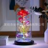 Cúpula de Vidro Flor Eterna Amazon 520 Flores Tanabata Caixa de Presente Rosa para Namorada Presente de Aniversário Criativo