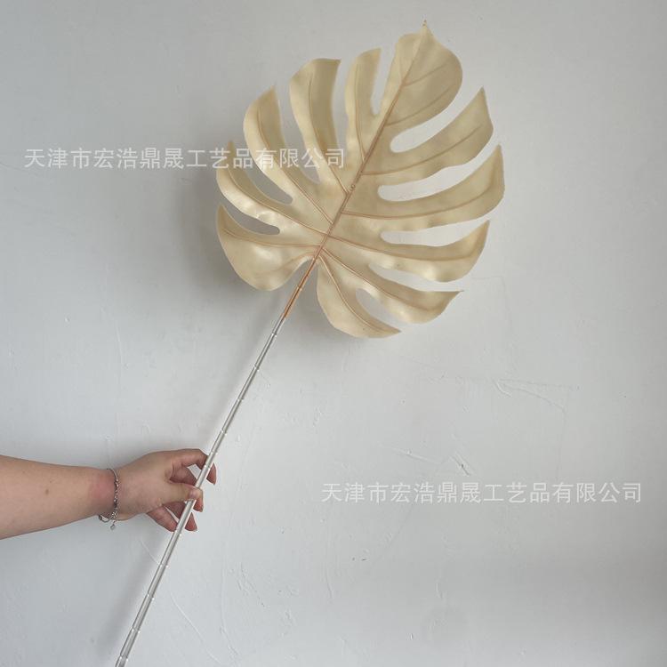微信图片_202208091601423_副本