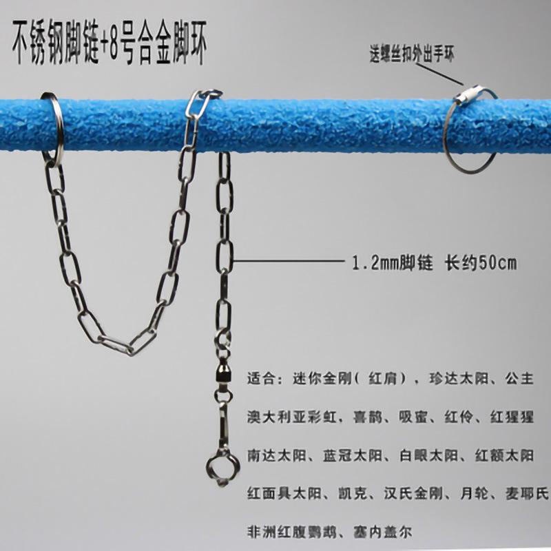 8链