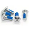 Tornillo Nai Lu Personalizado con Recubrimiento Adhesivo Acero Inoxidable 304 Tornillo con Recubrimiento de Pegamento Antiaflojamiento Fábrica Procesamiento No Estándar Perno Antivibración Largo