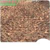 Rede de Camuflagem Transfronteiriça Cor Café Rede de Camuflagem Decorativa Fotografia Aérea Sombreamento Cobertura para Verdor Barreira Rede de Camuflagem
