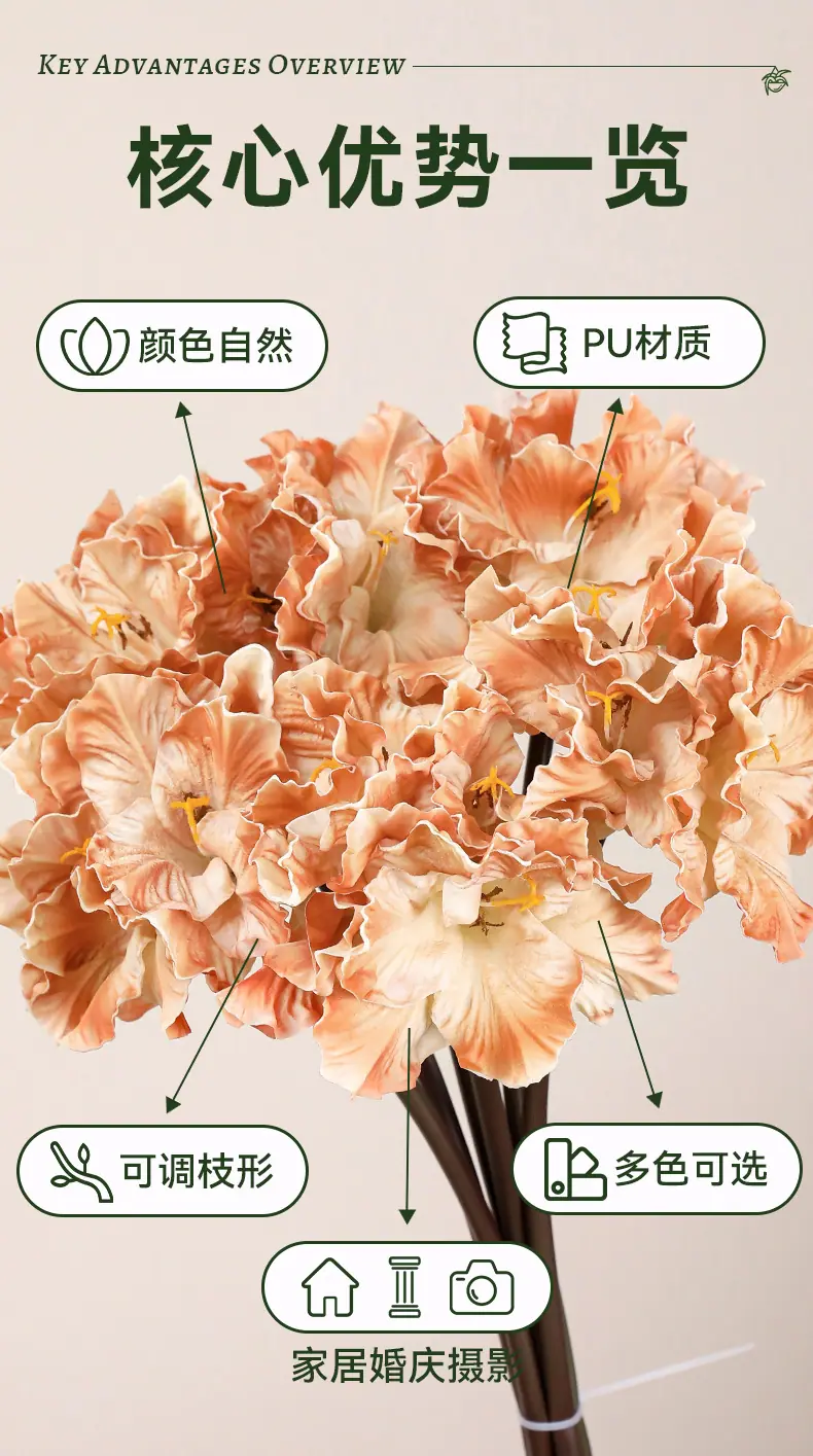 君子兰-米黄_02.jpg