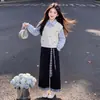 Conjunto de Moletom Manga Longa Falso de Duas Peças, Calça Casual Larga de Perna Larga para Primavera e Outono, Estilo Coreano Versátil para Crianças Mais Velhas