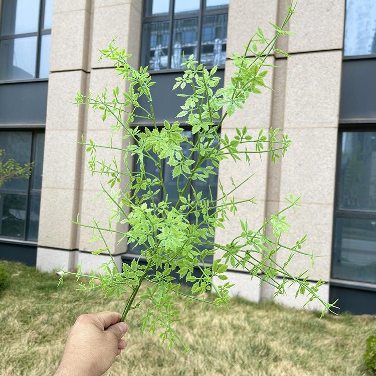 4叉原色玫瑰草 绿色.JPG