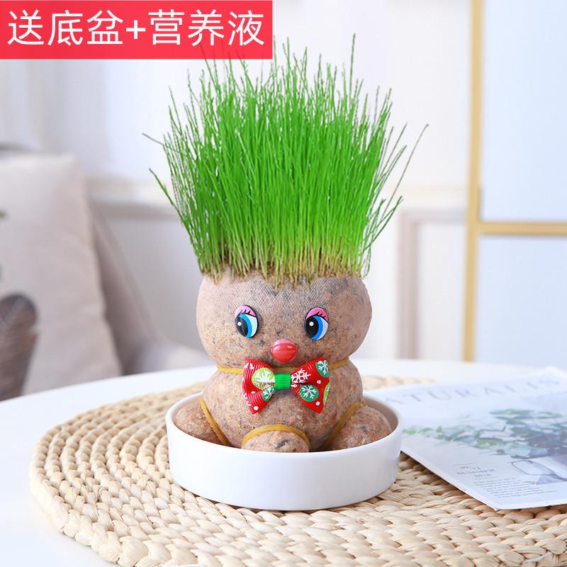 复制_diy创意草头娃娃绿植桌面水培儿童好养长.jpg