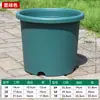 Maceta Gruesa Modelo Nuevo de Resina Plástica Maceta de Cuatro Estaciones Maceta de Galón Qingshan Control de Raíces para Balcón de Casa Rosas e Hortensias