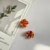 Pendientes de Planta Fruta Bellota Hechos a Mano DIY Fruta Pendientes Personalizados Creativos Material Chica Linda Pendientes Retro