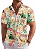Camisa Casual de Moda Hawaiana de Estilo Nuevo para Hombre, Transfronteriza Europea y Americana, Impresión Digital 3D, Manga Corta, Fábrica de Origen
