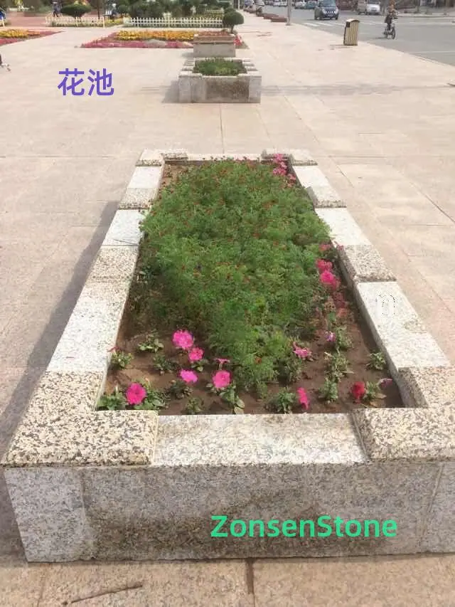 1772144932746016948_详情图.jpg