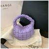 2023 nuevo bolso nube plisado transfronterizo bolso de personalidad popular de este año para mujer invierno nicho chaqueta acolchada de algodón bolso de mano marea de mujer