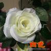 Rosa Artificial Flor Falsa Guirlanda Flor Artificial Arco de Casamento Teto Interno Bloqueio Tubo de Ar Condicionado Planta Verde Enrolada Atacado