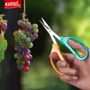 Tijeras de Acero Inoxidable para Recolectar Fruta Tijeras de Jardinería Tijeras de Podar Tijeras para Uva Pitaya Frutas y Verduras Artefacto para Recolectar Pimiento Tijeras Especiales