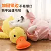 Juguete para mascotas para cachorros, limpieza de dientes, hace sonido, duradero, adecuado para gatos, Teddy, Bichón, cachorros y perros, un aparato para aliviar el aburrimiento