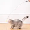 Brinquedo para Gato Varinha com Penas Autentretenimento Alívio do Tédio Gadget, Teaser Automático Durável Resistente à Mastigação Suprimentos para Pets Brinquedo