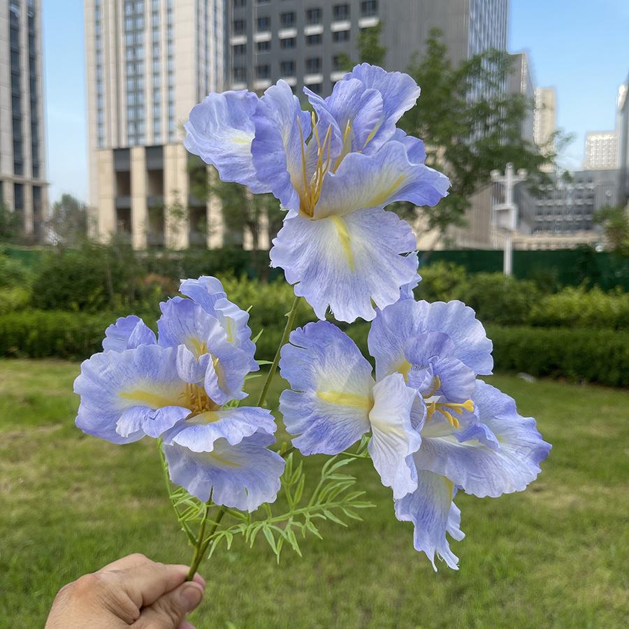 3头莫奈大鸢尾-sxrmzx-浅紫蓝.JPG