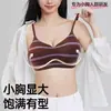 Ventas Directas de Fábrica Producto Popular Transfronterizo: Sujetador Push-Up para Busto Pequeño para Realzar la Apariencia, Busto Estilo Caricatura, Sujetador de Espalda Bonita, Lencería para Mujer Amigable con la Piel y Sensación de Segunda Piel