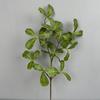 Terminalia Hojas Simuladas Planta Verde Maceta Decoración Planta Palma Pato Material de Pared Hoja Siete Estrellas Hoja Decorativa Madera Pie de Pato