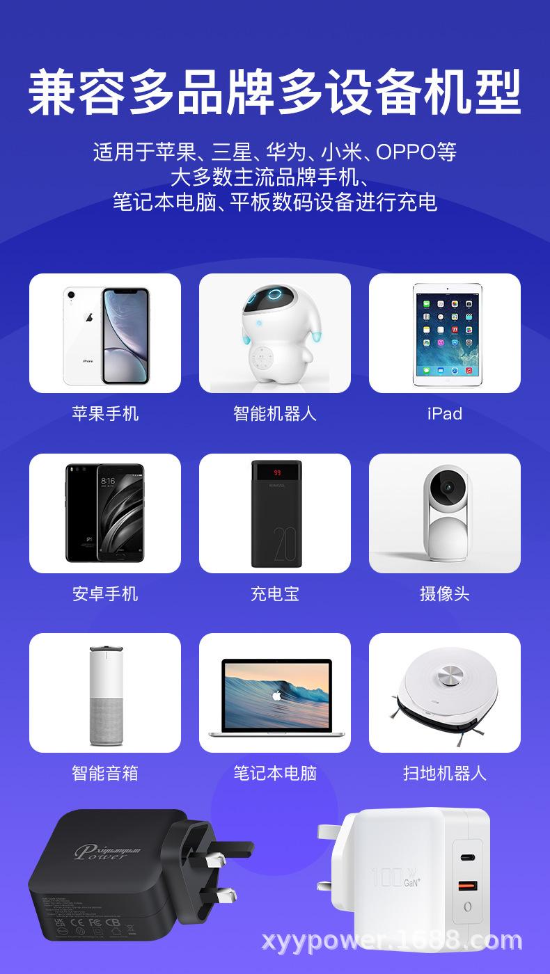 PD100W氮化镓C+A英规