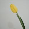 Tulipas de Galho Pequeno, Materiais Florais Artificiais Hidratantes, Arranjos Florais, Decorações para Casa, Flores Artificiais Decorativas, Adereços para Fotografia