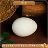 Modelos de Huevos Simulados, Huevos de Pato Falsos, Huevos de Ganso, Huevos de Avestruz, Huevos de Dinosaurio, Huevos de Codorniz, Huevos de Pascua para Pintar DIY, Accesorios de Fotografía