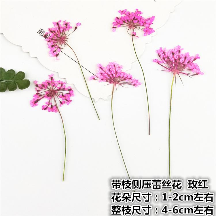 IMG20190221143112