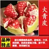 Árbol Joven de Granada Ácida Enana, Semilla Suave Tunecina, Semilla Suave Huidong, Lintong, Robe Rojo Grande de Sichuan, Brote de Árbol de Granada Ácida Enana, Semilla de Huidong sin Semillas