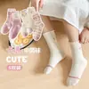 Nuevos estilos de otoño e invierno de calcetines para niños: Calcetines de algodón peinado grado A hasta la pantorrilla, con lindos diseños de caricaturas, disponibles para niñas, bebés y niños, al por mayor