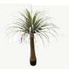 Fábrica de origen imitación Árbol de Yuca multipolo grande para interior centro comercial decoración de paisajismo árbol de sangre de drago Plantas verdes de moda