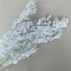 Pinheiro Penglai Flor Imortal Buquê de Flor Seca Casamento Decoração de Casa Presente Dia dos Namorados Chinês Pacote de Material Fabricante Atacado Transfronteiriço