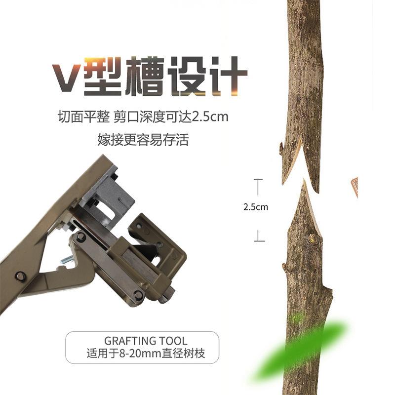 O1CN011g0E0gDyQUWHNtK_!!226703